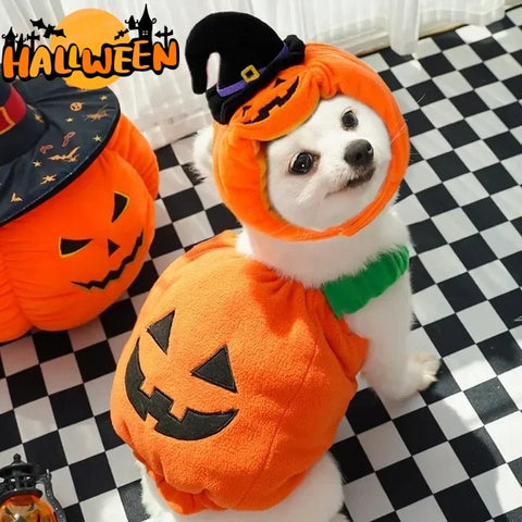 Halloween Pumpkin Vest For Dogs Cats Festive Pet