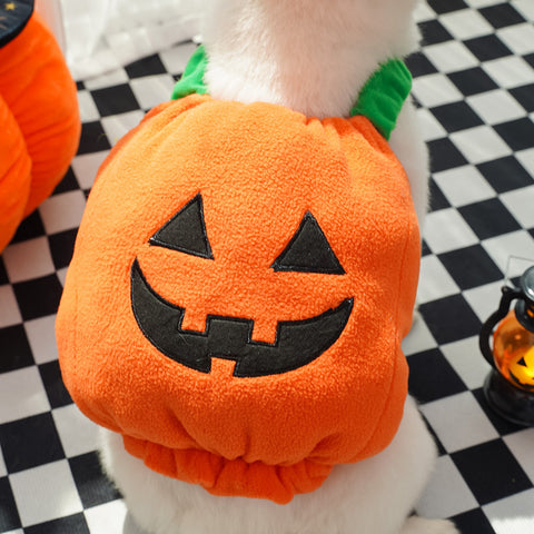 Halloween Pumpkin Vest For Dogs Cats Festive Pet