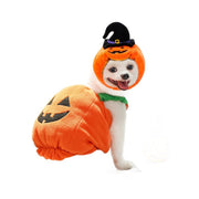 Halloween Pumpkin Vest For Dogs Cats Festive Pet